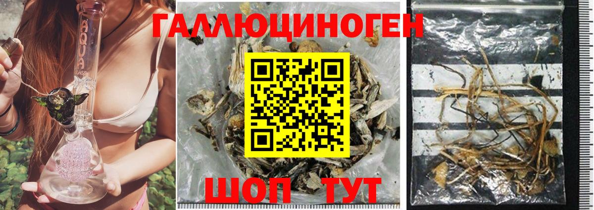 Галлюциногенные грибы Magic Shrooms  Псилоцибиновые грибы Magic Shrooms  Вход с VPN  Ростов Великий 